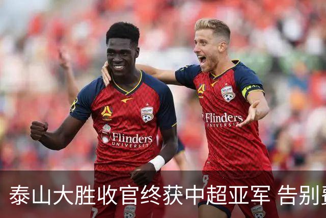 泰山大胜收官终获中超亚军 告别费莱尼致敬传奇